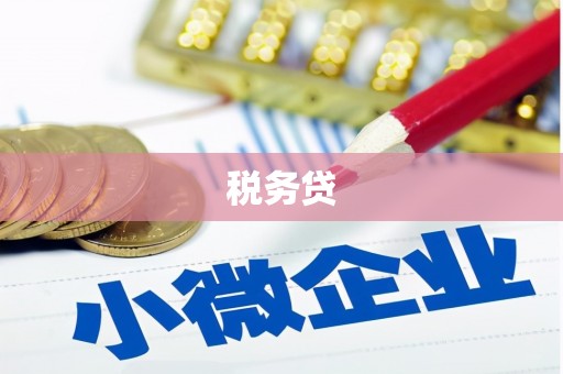正定税务贷