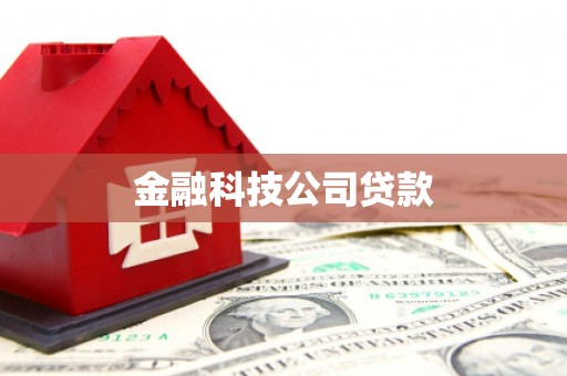 正定金融科技公司贷款