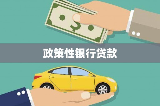 正定政策性银行贷款