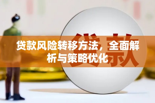 正定贷款风险转移方法，全面解析与策略优化