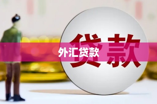 正定外汇贷款