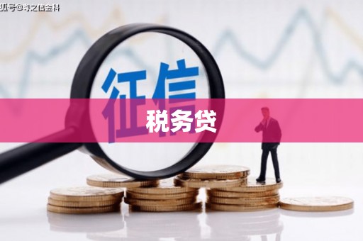 正定税务贷