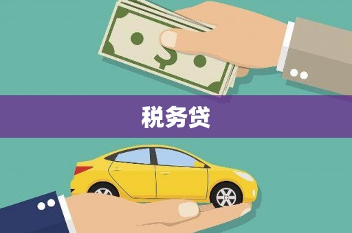 正定税务贷