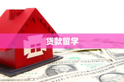 正定贷款留学