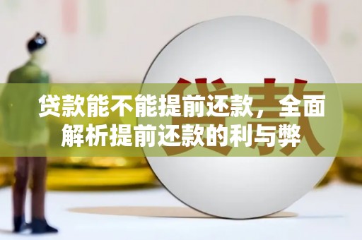 正定贷款能不能提前还款，全面解析提前还款的利与弊