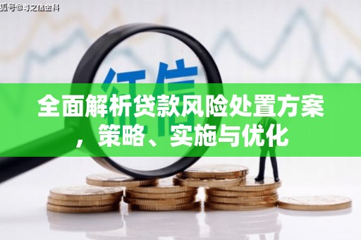 正定全面解析贷款风险处置方案，策略、实施与优化