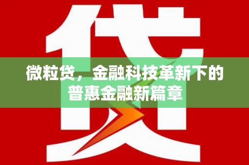 正定微粒贷，金融科技革新下的普惠金融新篇章