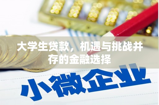 正定大学生贷款，机遇与挑战并存的金融选择