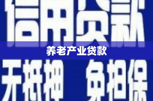 正定养老产业贷款