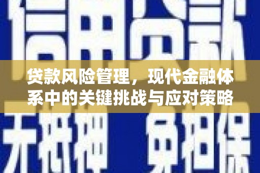 正定贷款风险管理，现代金融体系中的关键挑战与应对策略
