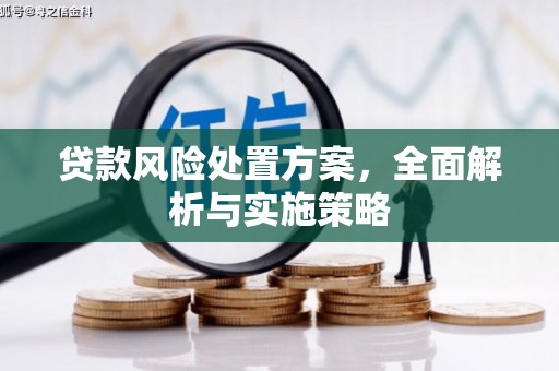 正定贷款风险处置方案，全面解析与实施策略