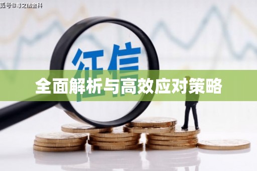 正定全面解析与高效应对策略